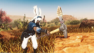 Excavating Adventures