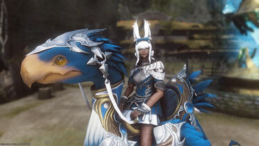Chocobo Raising Chocobo Raising